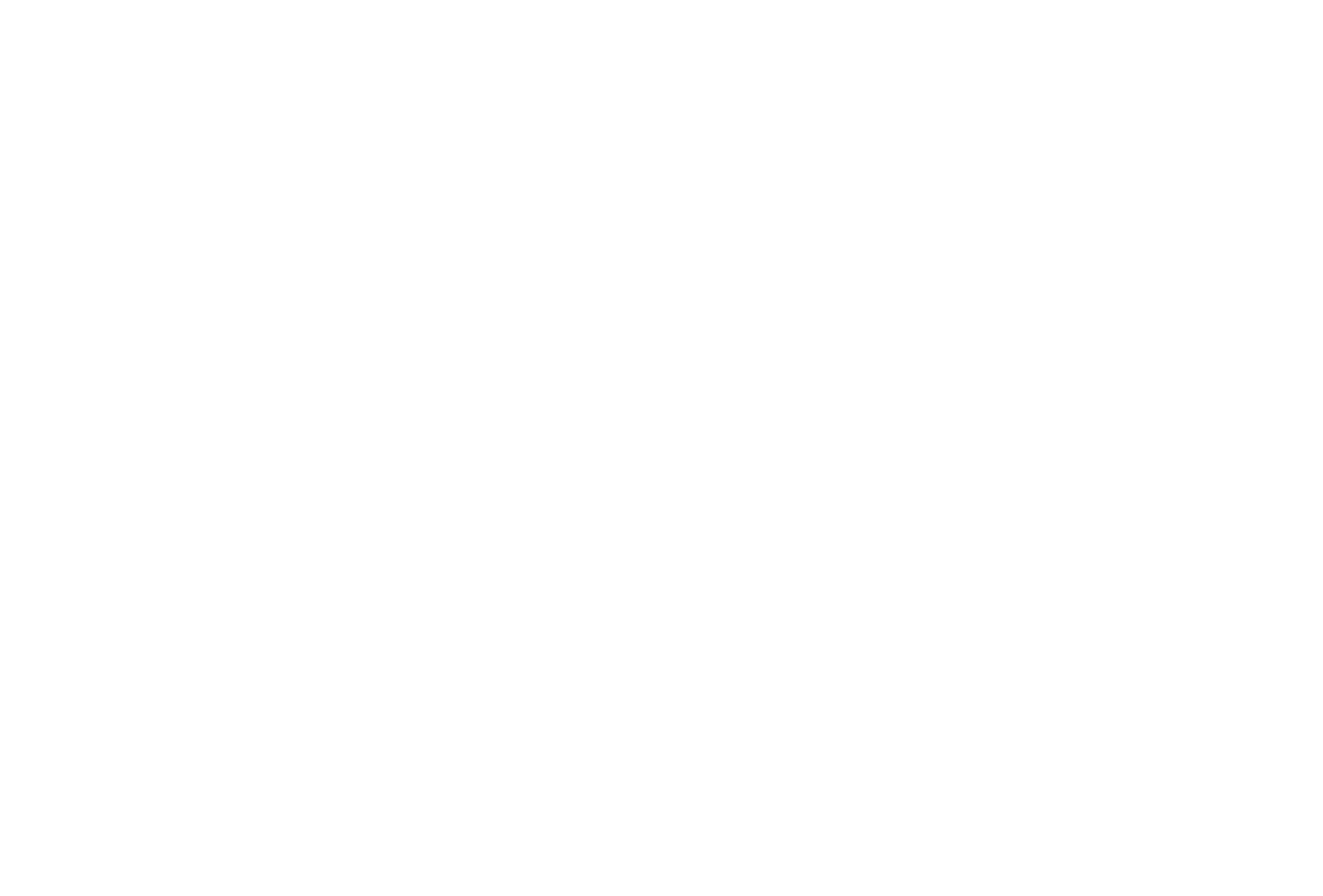 BORA logo